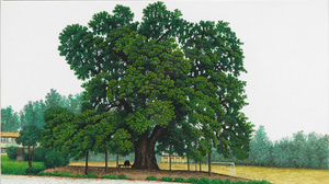 休(휴)-담양대치리느티나무